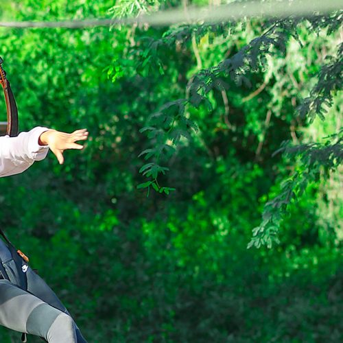 Which Kids Attraction is Better for Your Family - Zoo or Aquarium?